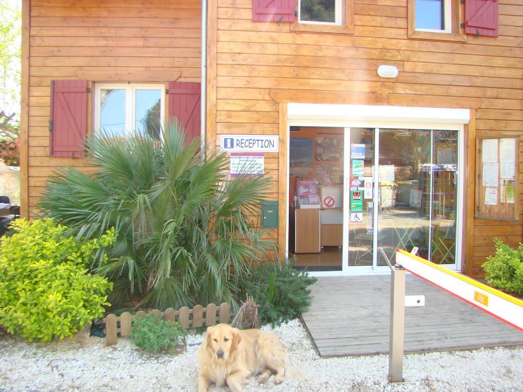 Camping Cap Sud อาเลนยา ภายนอก รูปภาพ